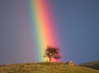 Kamalakning oxirida nima bor?