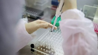 Что известно о новом штамме коронавируса?