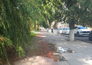 “Йўлни суғориш” нега керак?