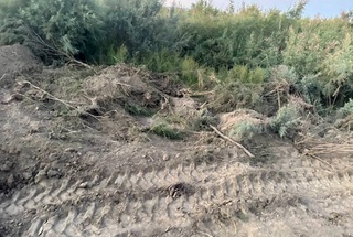 Незаконная вырубка деревьев при прокладке дороги к реке Зарафшан обернулась штрафом