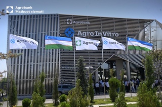 “Agro in vitro”dagi hayot: Ilm va tabiat uygʻunligida barpo etilayotgan yangi bogʻlar