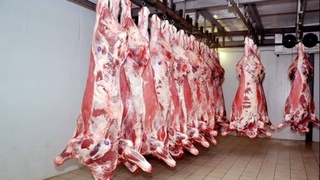 Состоялся семинар по внедрению единой электронной базы данных по мясу крупного рогатого скота