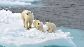 В ООН считают текущее потепление самым сильным за последние 200 тысяч лет