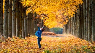 Пешгӯии обу ҳаво барои 1 октябр