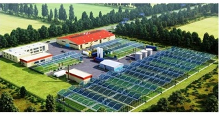 Тепличные хозяйства на территории СЭЗ «Бухара-Агро» будут поддерживаться