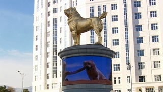 В Туркменистане учредили праздник в честь алабая