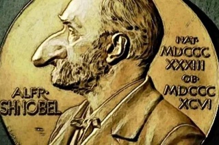 Шнобелевскую премию вручили за обучение голубей-наводчиков и способ выявить пьяных червей