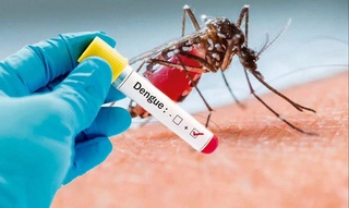 СУТ аз афзоиши эҳтимолии бемориҳои вирусии тропикӣ ҳушдор медиҳад