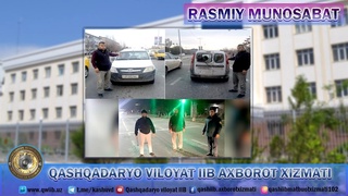 Qashqadaryoda “Cobalt” yoʻlovchisi temir bilan “Lada-Largus” mashinasiga zarar yetkazdi