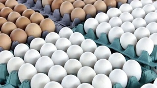 2020 йилда қайси ҳудудларда энг кўп тухум етиштирилган? 