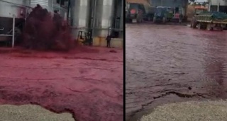 Испанияда завод қизил вино кўлмаги остида қолди – видео