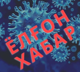 COVID-19: Кім жалған хабар таратып жатыр?
