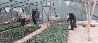 Hokim yordamchisi Norin tajribasini Ohangaronda yo'lga qo'ymoqda