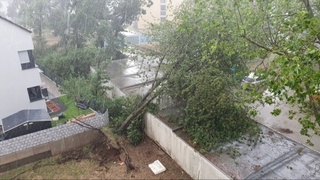 Германия жанубида дўл ёғиши оқибатида камида 12 киши жароҳат олди