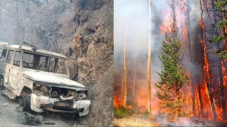 Ҳиндистон: қўриқхонадаги ёнғин оқибатида камида тўрт киши ҳаётдан кўз юмди