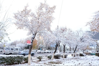 Прогноз погоды на 12 декабря