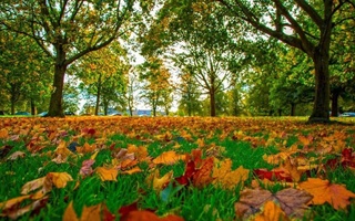 Прогноз погоды на 11 сентября