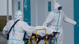 Дунёда коронавирусдан ўлим кўрсаткичлари 43 фоизга ошди