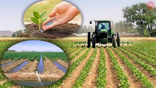 Қишлоқ хўжалиги таваккалчиликларини суғурта қилиш тартибга солинади