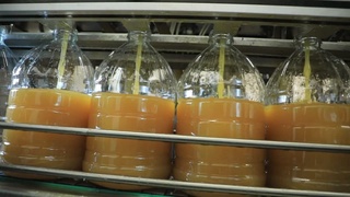 CHigit klasterning o'z korxonasida qayta ishlanmoqda