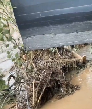 "Shaxrixonsoy"dan kichik yoshdagi qizaloqning jasadi topildi