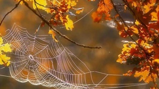 Теплые деньки - до понедельника