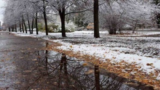 Ҳафта охирида ҳаво илиши кутиляпти