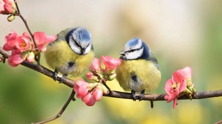 Прогноз погоды на 19 марта