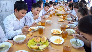 Maktab yoshidagi bolani qanday toʻgʻri ovqatlantirish mumkin?