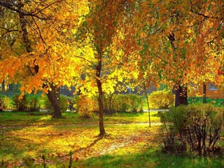 Uzhydromet: the weekend in Uzbekistan will be warm