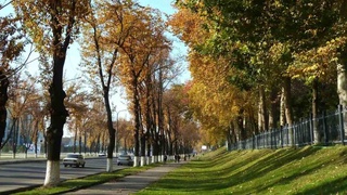 Ушбу ҳафта давомида салқин ҳаво чекинади