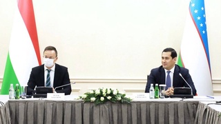 Венгриялик экспертлар Ўзбекистон ҳудудларини ижтимоий-иқтисодий ривожлантиришга кўмаклашади