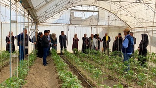 ФАО обучает жителей Ферганской долины умному земледелию