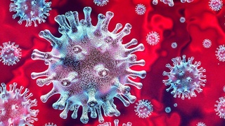 Рост мутаций в коронавирусе может быть полезным