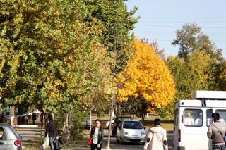 Weather forecast for November 24