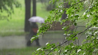 Weather forecast for April 5