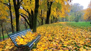 Прогноз погоды на 6 октября