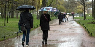 Узгидромет: дождливая погода сохранится в течение всей недели