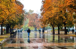 29 ноябрьде болатын ауа райы болжамы