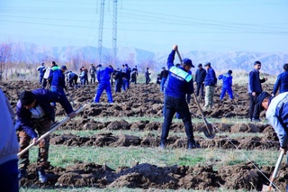 Аймақларды жасыллыққа бөлеген ҳәрекет