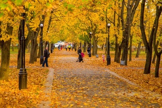 Weather forecast for November 7th