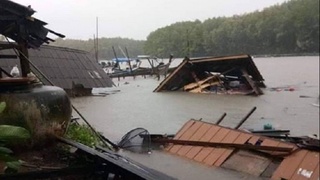 Олти киши Вьетнамдаги «Ноул» тўфони қурбони бўлди