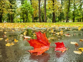 Өзбекстанда ҳаўа-райы суўып, дем алыс күнлери жаўын жаўып, температура төменлеўи күтилмекте