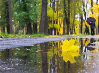 Weather forecast for October 26