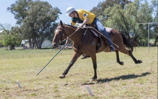 Ўзбекистонда «Тентпеггинг» федерацияси ташкил этилди