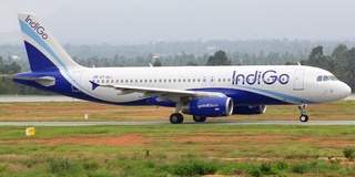 “IndiGo” авиакомпанияси сентябрдан мамлакатимизга авиақатновлар сонини оширади