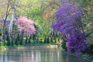 Прогноз погоды на 24 апреля