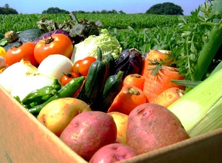 220 000 АҚШ доллари кредит маблағини ўзлаштирган МЧЖ раҳбари аниқланди