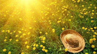 Август, каким ты будешь?