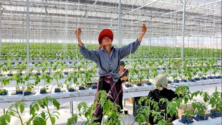 Жұмыссыздық жоғары болған махаллаларда жанұялардың табыс көздері жаратылады